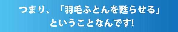 つまり、「羽毛ふとんを甦らせる」ということなんです！